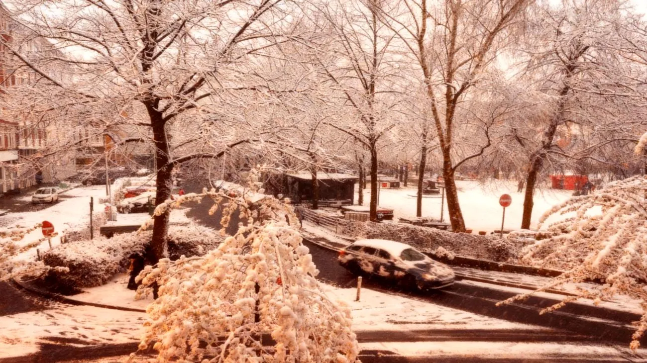 Was du über den kommenden Wintereinbruch nicht weißt - 15 Grad Temperatursturz in wenigen Stunden 2025-11-07T11:42:44.849Z"